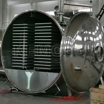 Apple Freeze Drying Machine