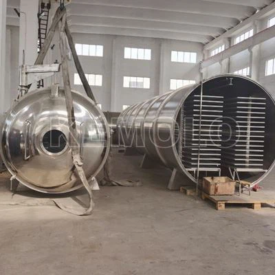 Biopharmaceutical Freeze Drying Machine