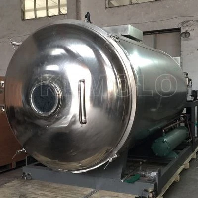 Vacuum Freeze Dryer Price